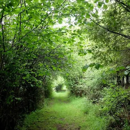 Hébergement de vacances L'échappée Amoureuse Et Féérique *